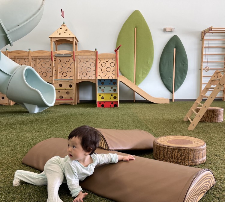 Timber & Bow Play Studio (Troy,&nbspOH)